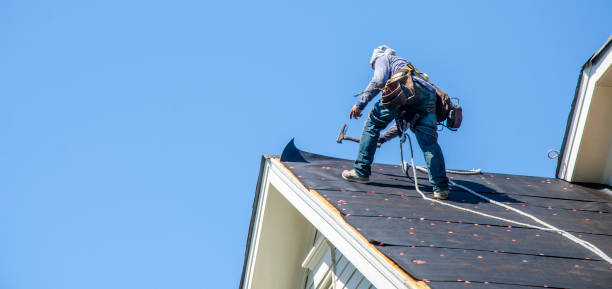 Best Roof Repair Services  in Laurel Hill, VA